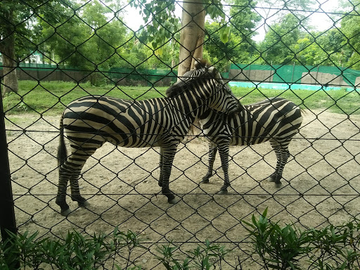 Tata Steel Zoological Park Travel | Zoo and Wildlife Sanctuary 