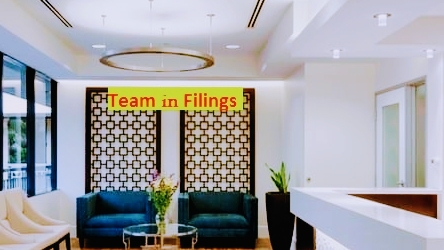 Team IN Filings Professional Services | Legal Services