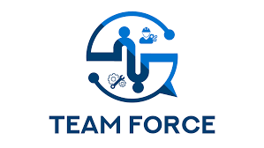 TeamForce Infrastructure Private Limited|Architect|Professional Services