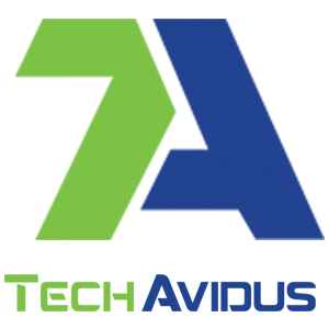 TechAvidus|Architect|Professional Services
