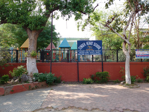 Tender Heart School Chandigarh Schools 01