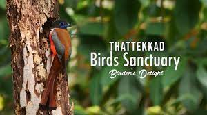 Thattekad Bird Sanctuary - Logo