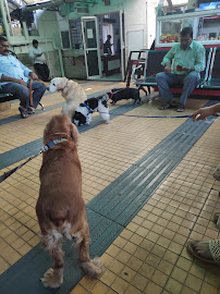 The Animal Care Clinic Hyderabad - Veterinary in Hyderabad | Joon Square