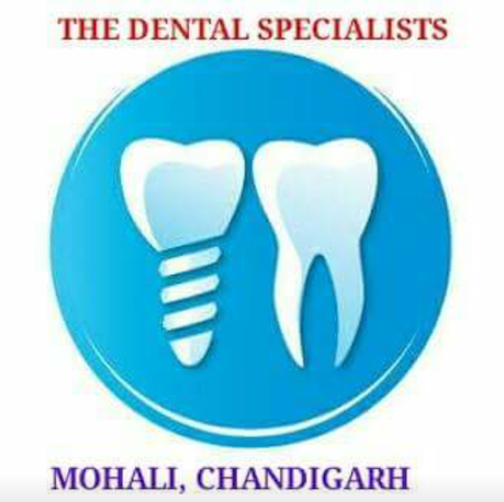 THE DENTAL SPECIALISTS|Dentists|Medical Services