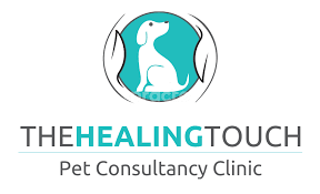 The Healing Touch Pet Clinic & Surger|Hospitals|Medical Services