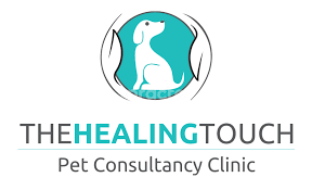 The Healing Touch Pet Clinic & Surger|Clinics|Medical Services