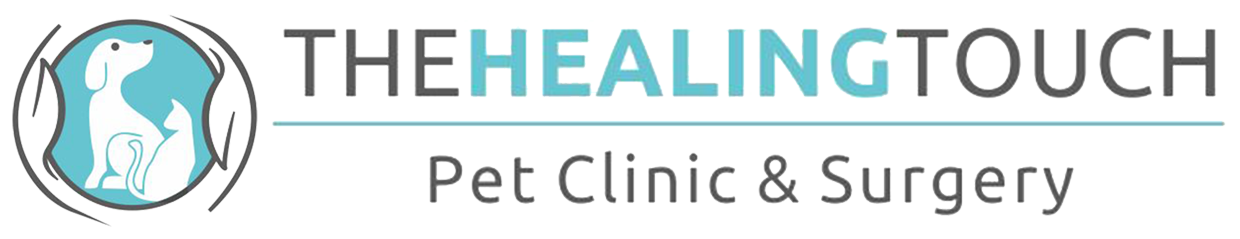 The Healing Touch ' Pet Clinic|Hospitals|Medical Services