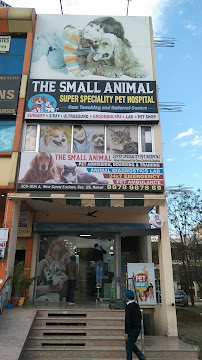 The Small Animal Kharar, Barnala - Veterinary in Kharar | Joon Square