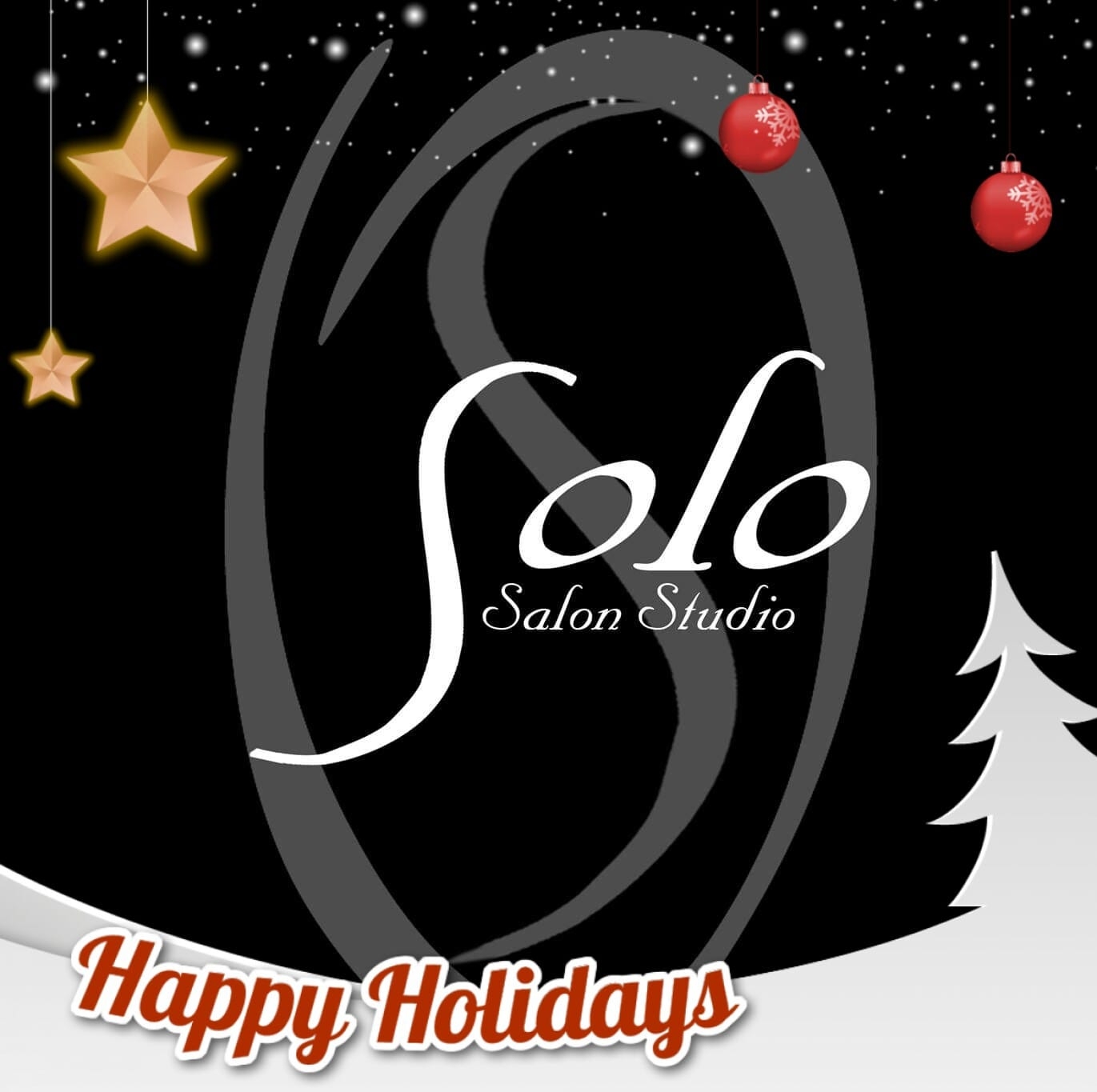 The Solo Salon Logo