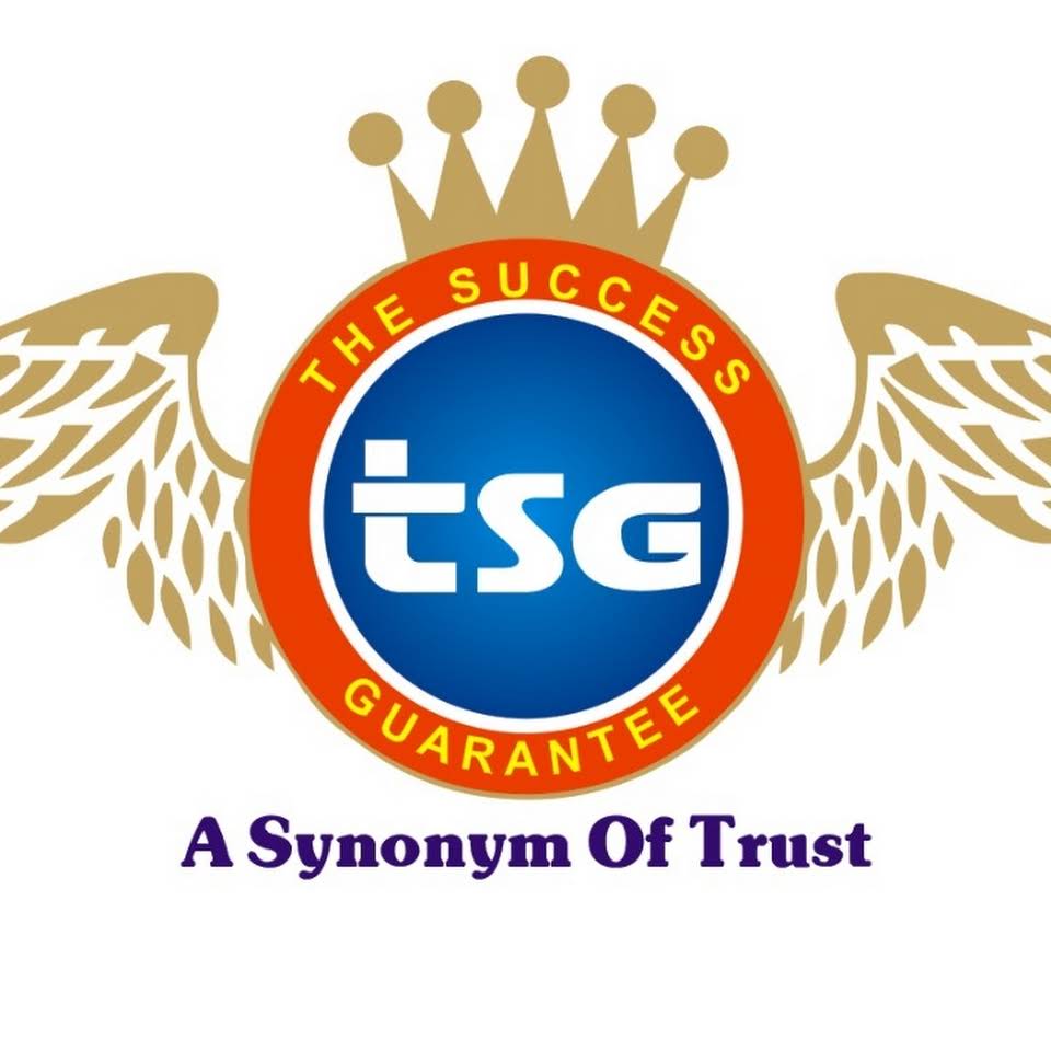 The Success Guarantee - Logo