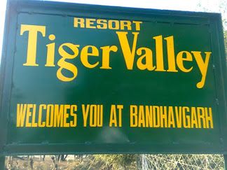 The Tiger Valley Resort - Logo