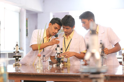 The Vision PU College Education | Colleges