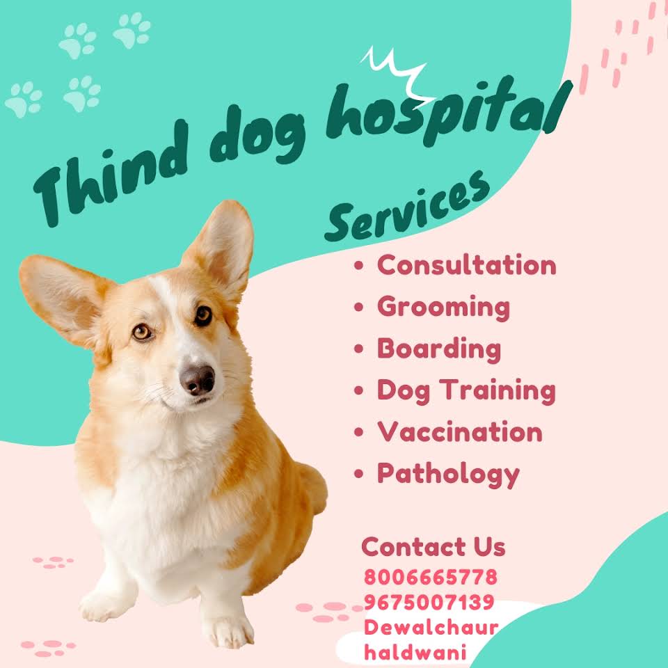 Thind vet Haldwani Medical Services | Veterinary