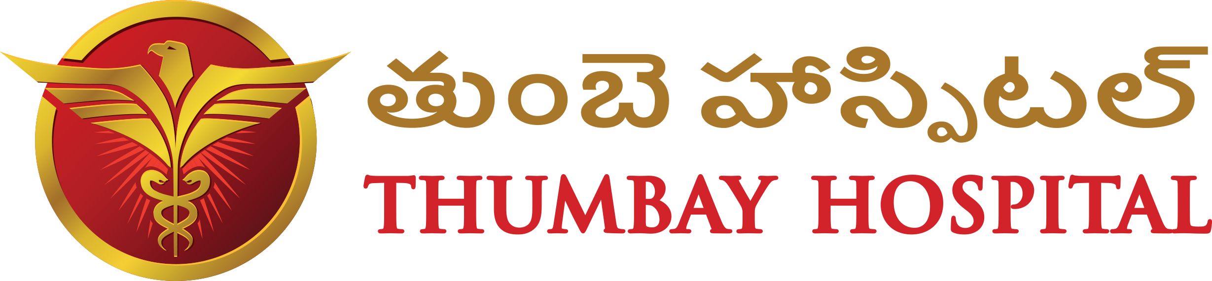 Thumbay Hospital|Veterinary|Medical Services