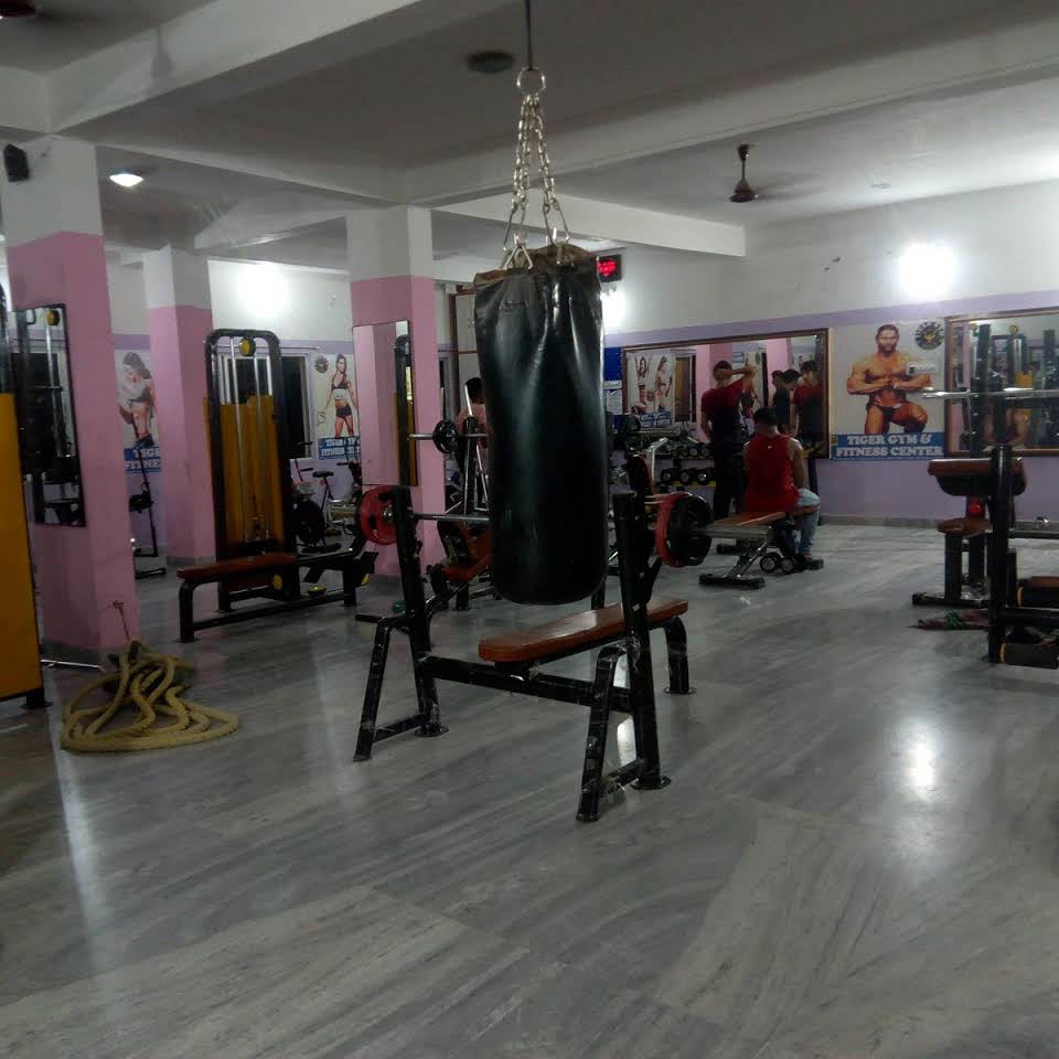 Tiger Gym & Fitness Center Active Life | Gym and Fitness Centre