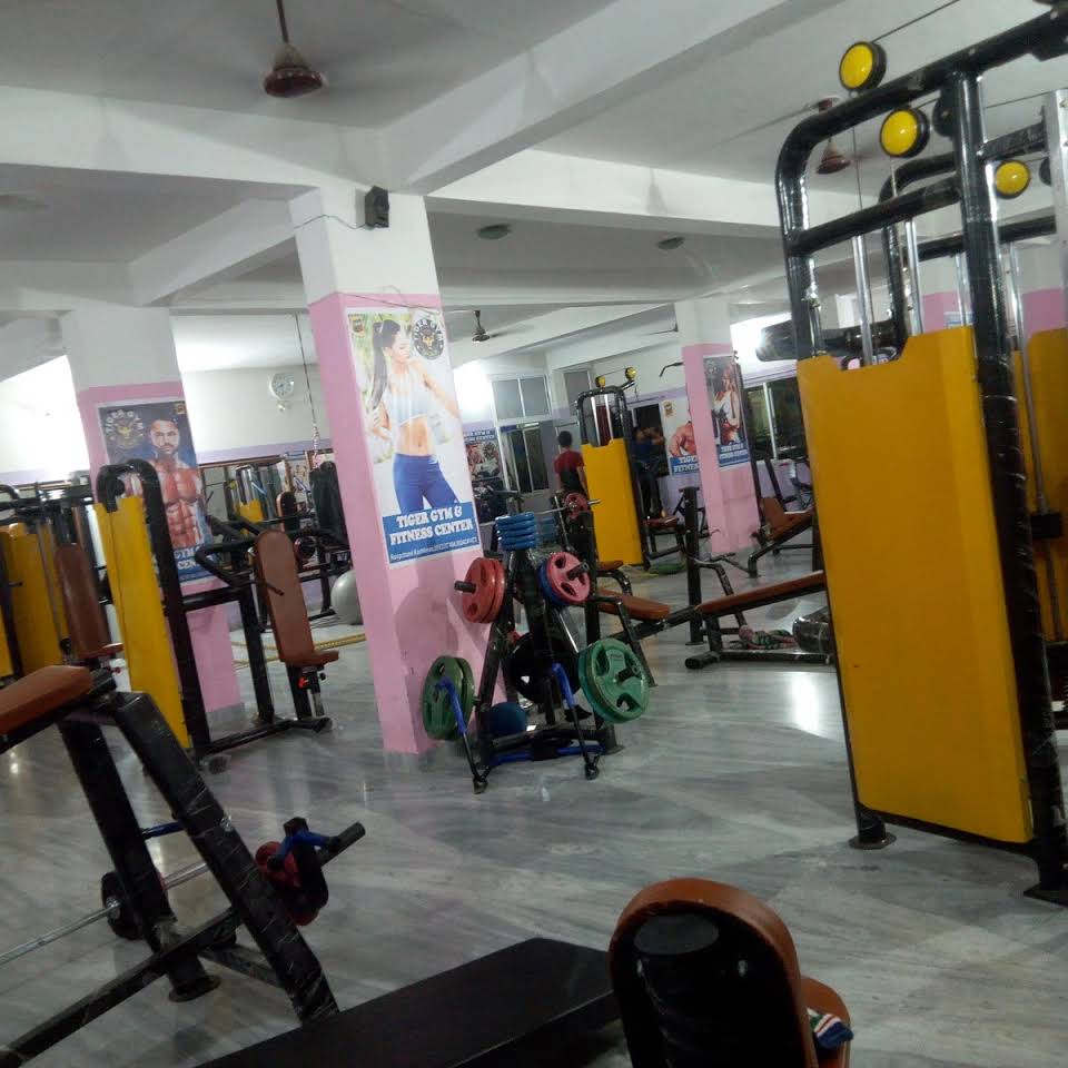 Tiger Gym & Fitness Center|Gym and Fitness Centre|Active Life