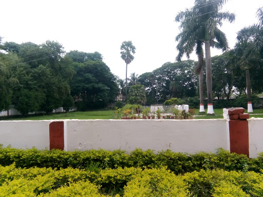 Tilka Manjhi Bhagalpur University Education | Universities