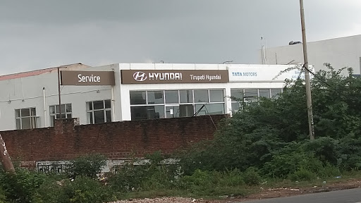 Tirupati Hyundai Automotive | Show Room