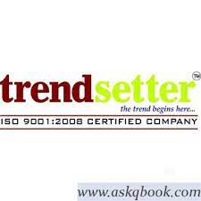 Trendsetterz IT Services Pvt. Ltd. - Logo