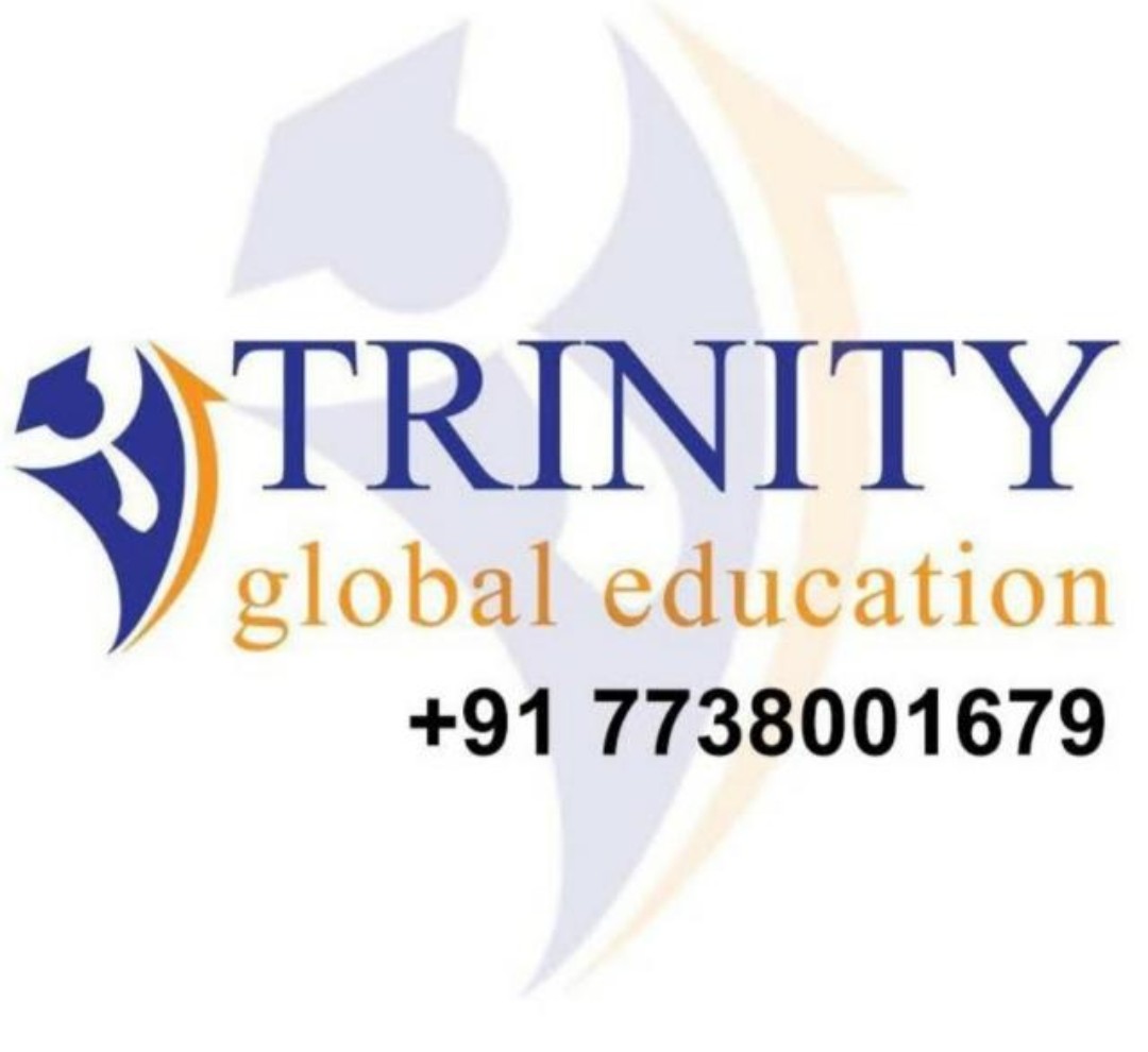 Trinity Global Education Logo