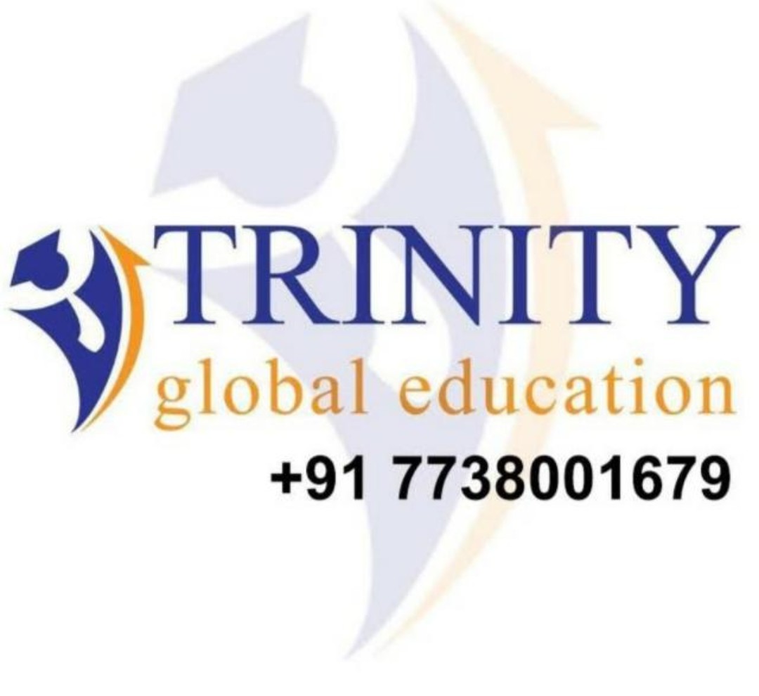 Trinity Global Education|Schools|Education