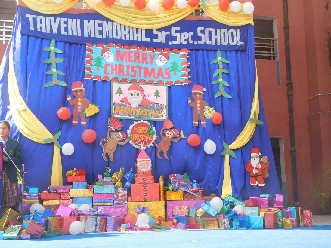 Triveni Memorial Senior Secondary School Bahadurgarh Schools 003