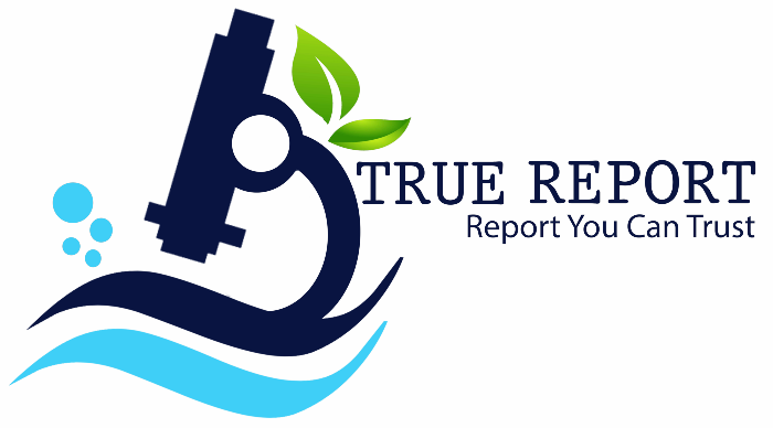 Truereport - Logo