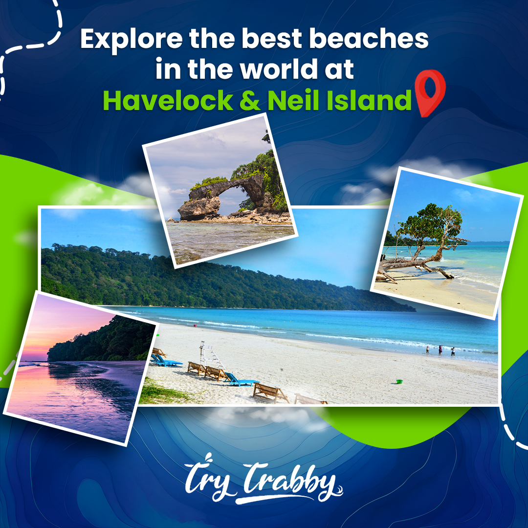 Try Trabby Travel | Travel Agency