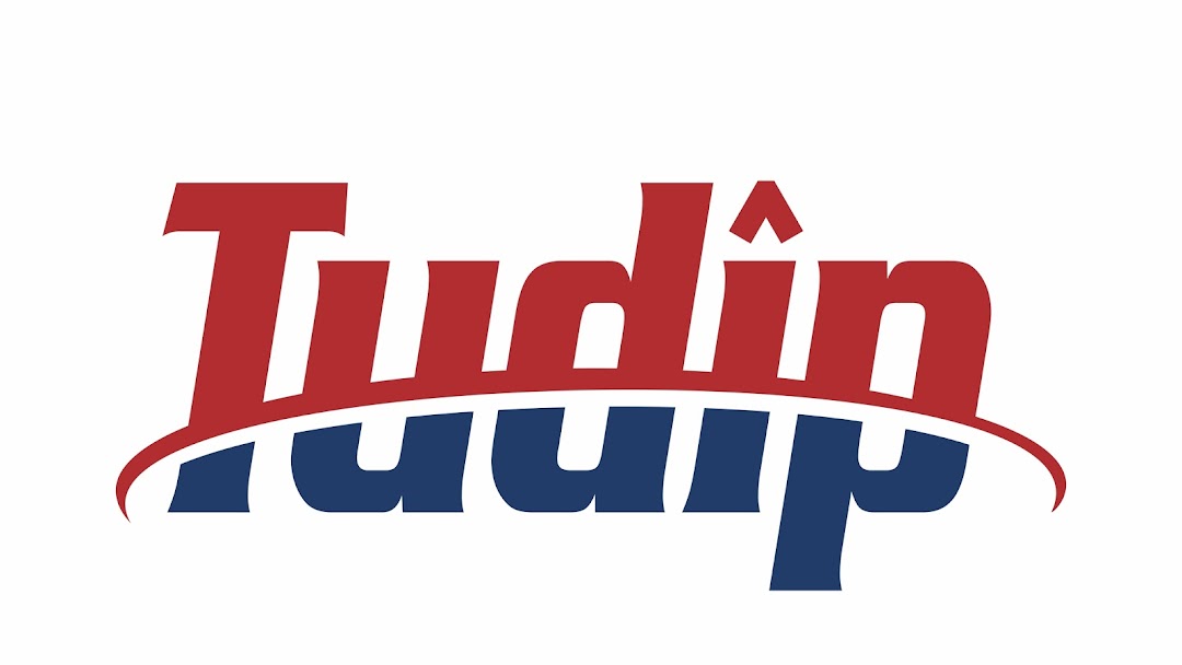 Tudip Technologies Logo