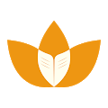 Tulips International School|Schools|Education