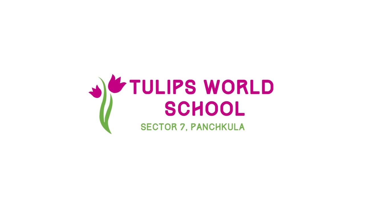 Tulips World School|Schools|Education