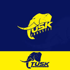 Tusk The Fitness Zone|Gym and Fitness Centre|Active Life