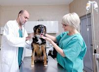 Tyagi Dog Hospital Medical Services | Veterinary