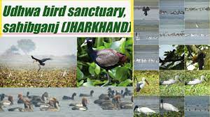 Udhwa Lake Wildlife Sanctuary Logo