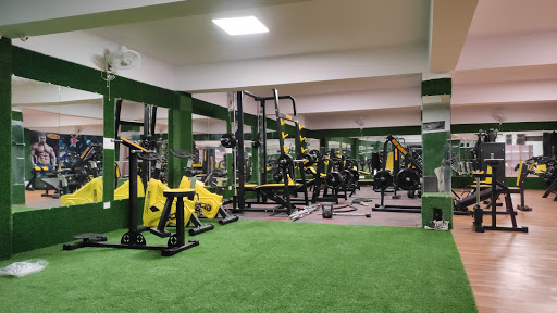 Unisex Gym Active Life | Gym and Fitness Centre