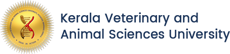 University Veterinary Hospital|Veterinary|Medical Services
