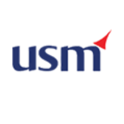 USM Business Systems - AI Solutions & Mobile App Development Services|Architect|Professional Services
