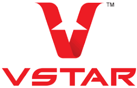 V Star Gym Logo