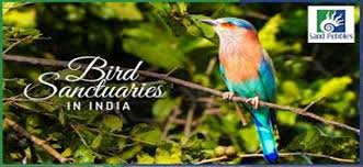 Vaduvoor Bird Sanctuary Logo