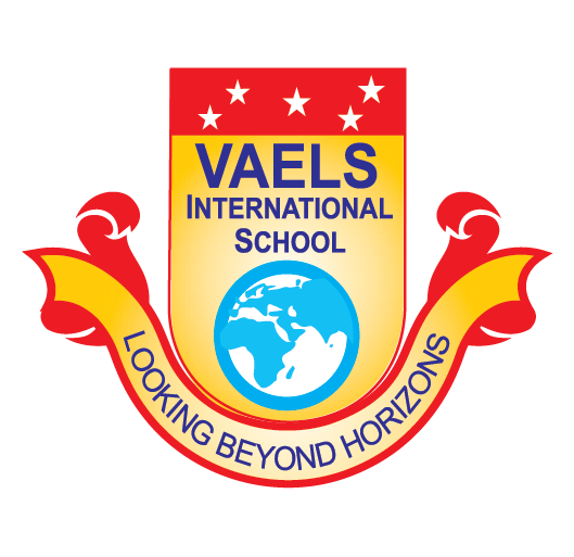 Vaels International School Logo