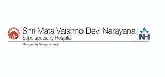 Vaishno Devi - Logo
