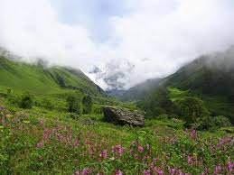Valley of Flowers National Park Travel | Zoo and Wildlife Sanctuary 