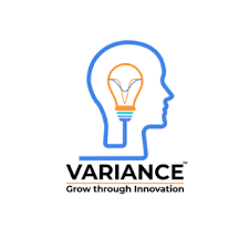 Variance InfoTech Pvt Ltd. Logo