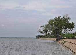 Veeranam Lake Travel | Lake
