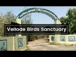 Vellode Birds Sanctuary Logo