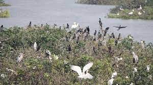 Vellode Birds Sanctuary Erode - Zoo and Wildlife Sanctuary in Erode ...