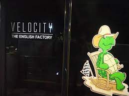 Velocity The English Factory Logo