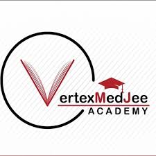 Vertex Medjee Academy - Logo