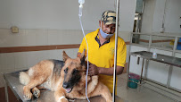 Veterinary Hospital Medical Services | Veterinary