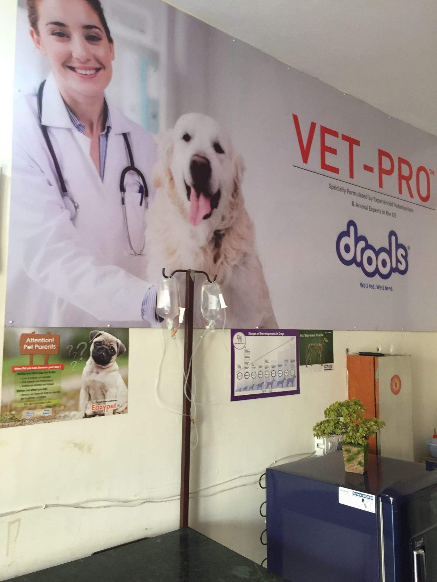 Veterinary House Clinic Kurukshetra Veterinary 03